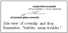 Text Box:  Side view of coverslip and drop. Remember, "bubbles mean troubles."