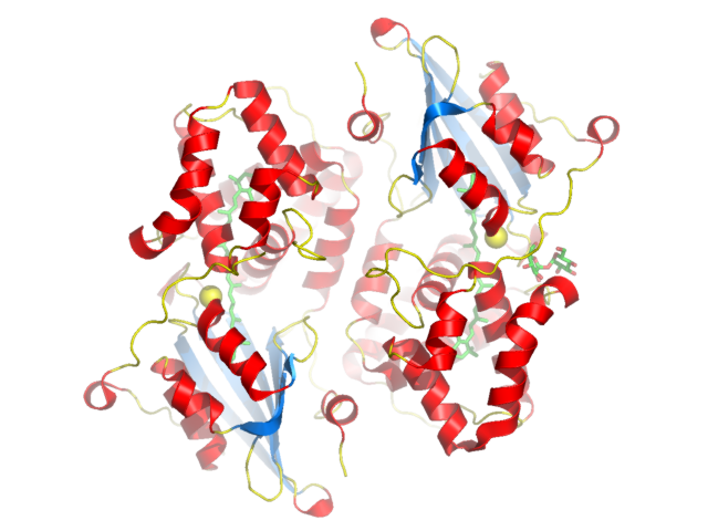 colored by secondary structure