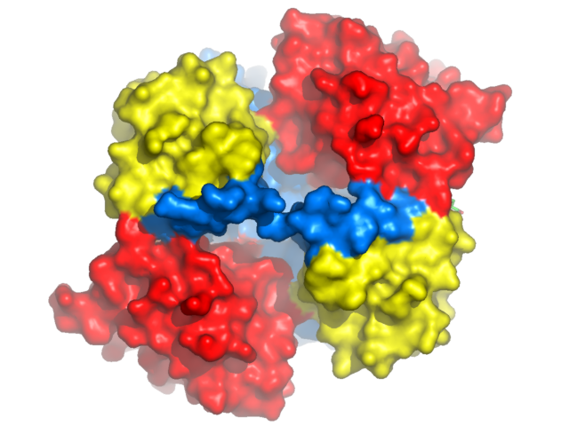 molecular surface