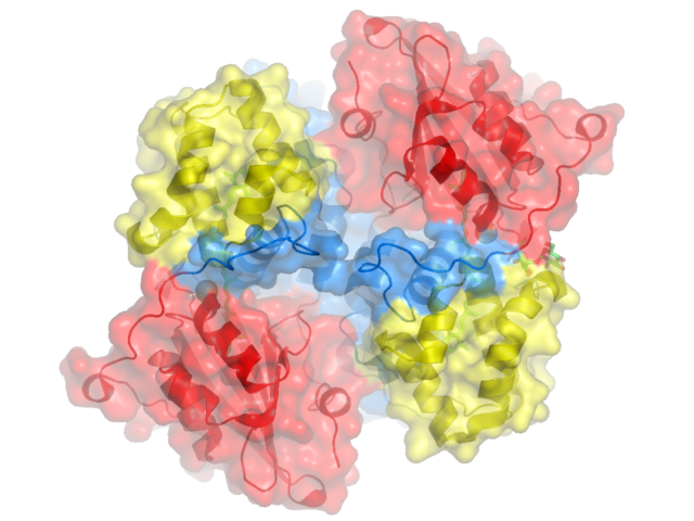 molecular surface transparent