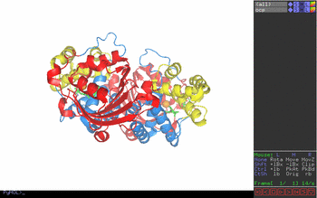 graphics window pymol 1