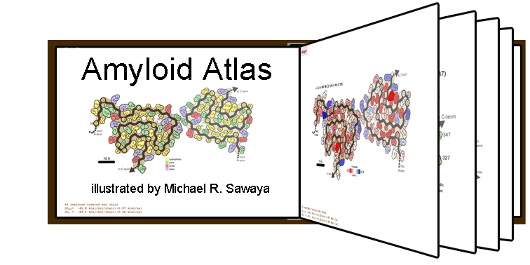 Amyloid Atlas 2022