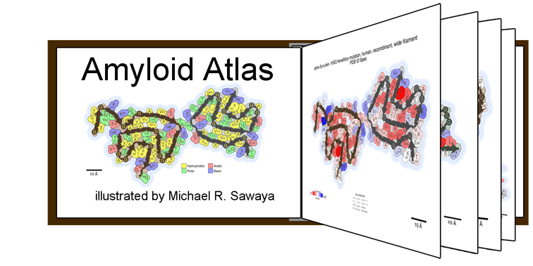 Amyloid Atlas 2023